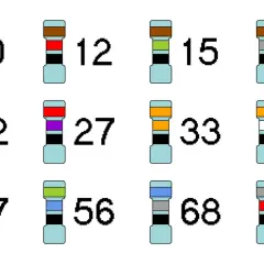 Różne rezystory szeregowo z oznaczeniami wartości: 10, 12, 15, 18, 22, 27, 33, 39, 47, 56, 68, 82.