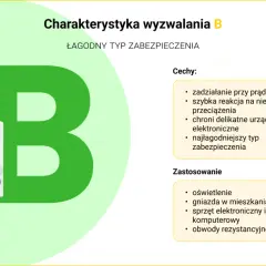 Wyłącznik nadprądowy typu B, łagodny, chroni delikatne urządzenia elektroniczne.