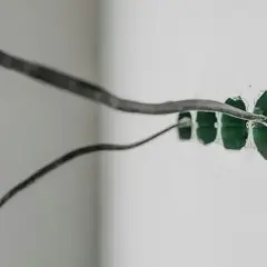 Przewody elektryczne wychodzące z zielonych puszek instalacyjnych, gotowe do podłączenia. Prąd w obu przewodach zapewni zasilanie.