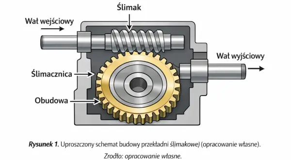 Schemat przekładni ślimakowej: ślimak obraca ślimacznicę, przekazując ruch obrotowy.